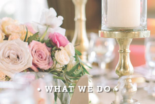 • What We Do •